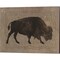 Buffalo Impression by Stellar Design Studio 15" x 12" Canvas Wall Art (Set of 2)